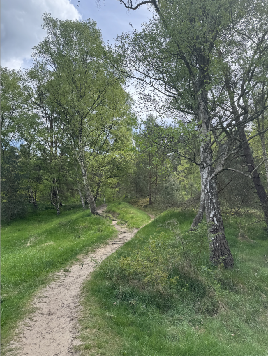 Naturschutzgebiet 1 Wohngrundst�ck Hamburg