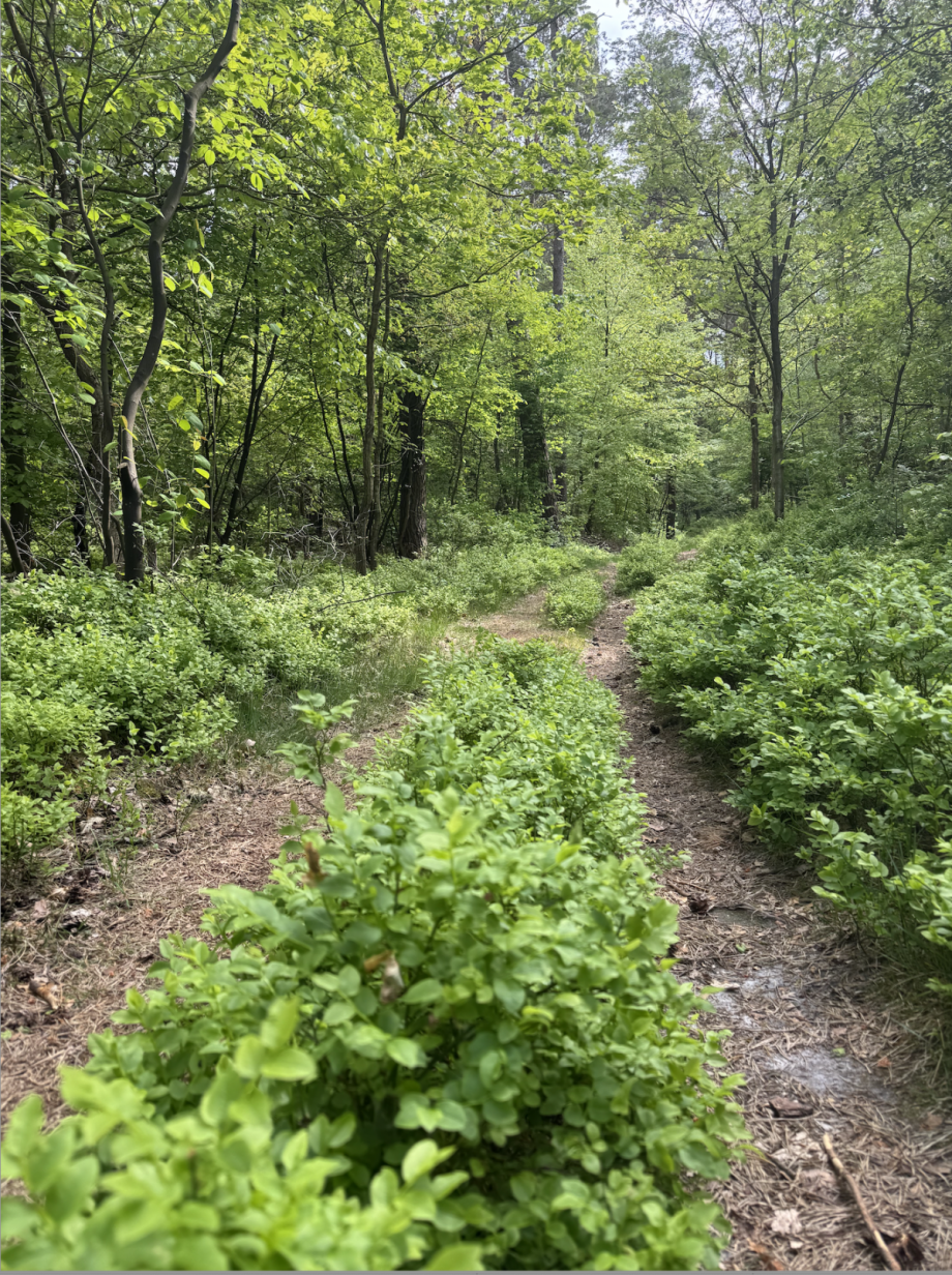 Naturschutzgebiet 4 Wohngrundst�ck Hamburg