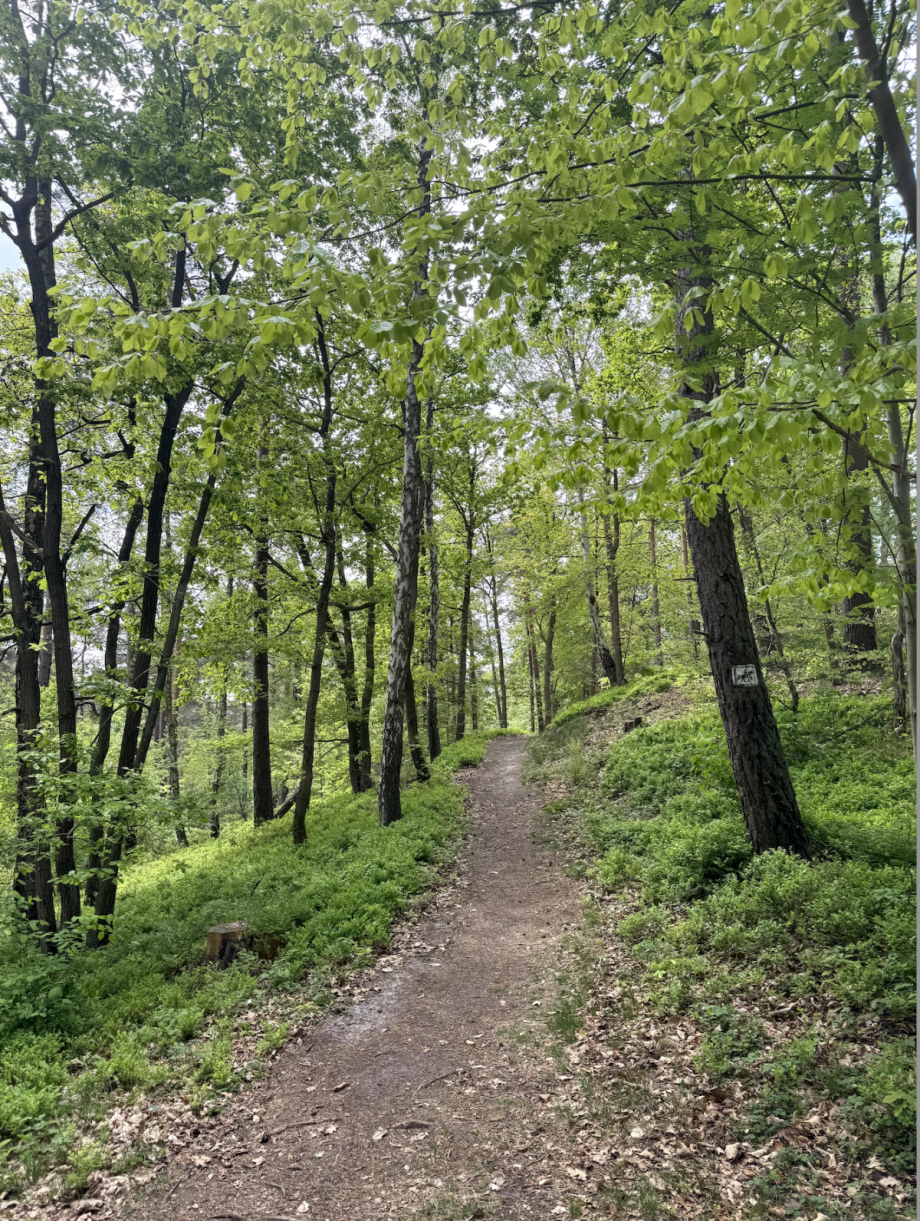 Naturschutzgebiet 3 Wohngrundst�ck Hamburg